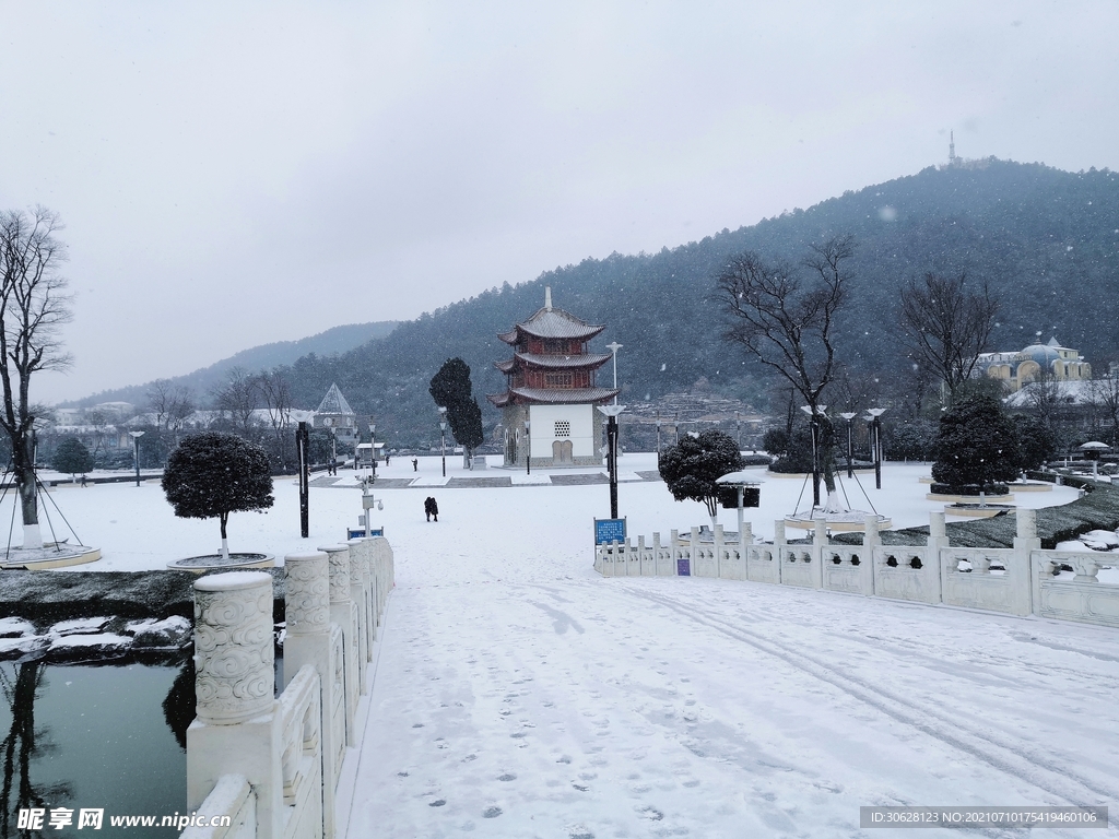 雪地