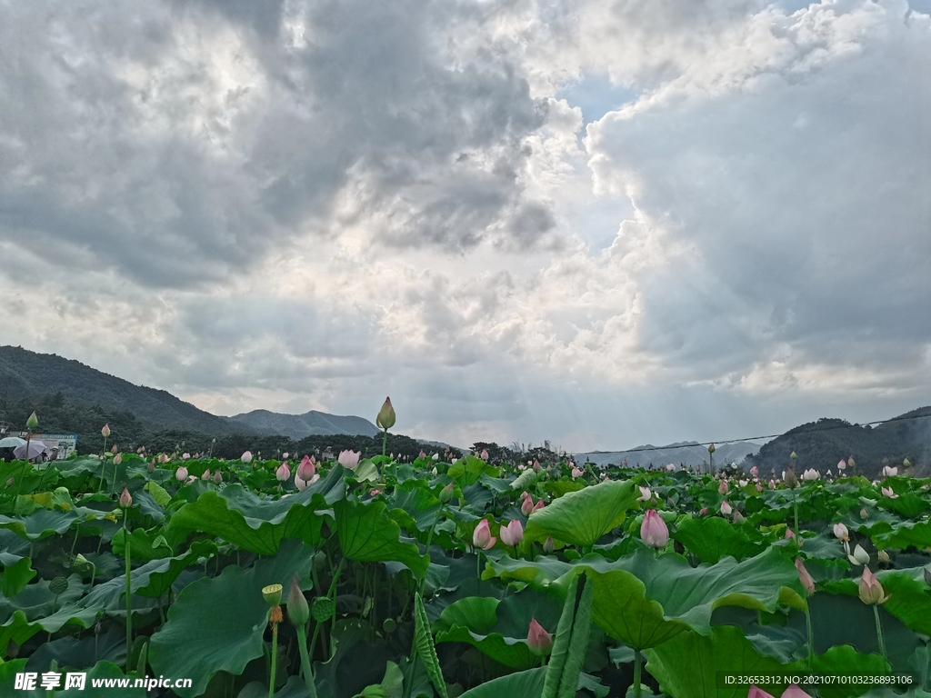 风景
