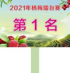 杨梅   擂台赛   手举牌