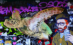 街头墙体涂鸦大海龟装饰画