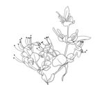 金银花