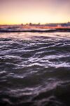 海