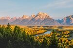 山