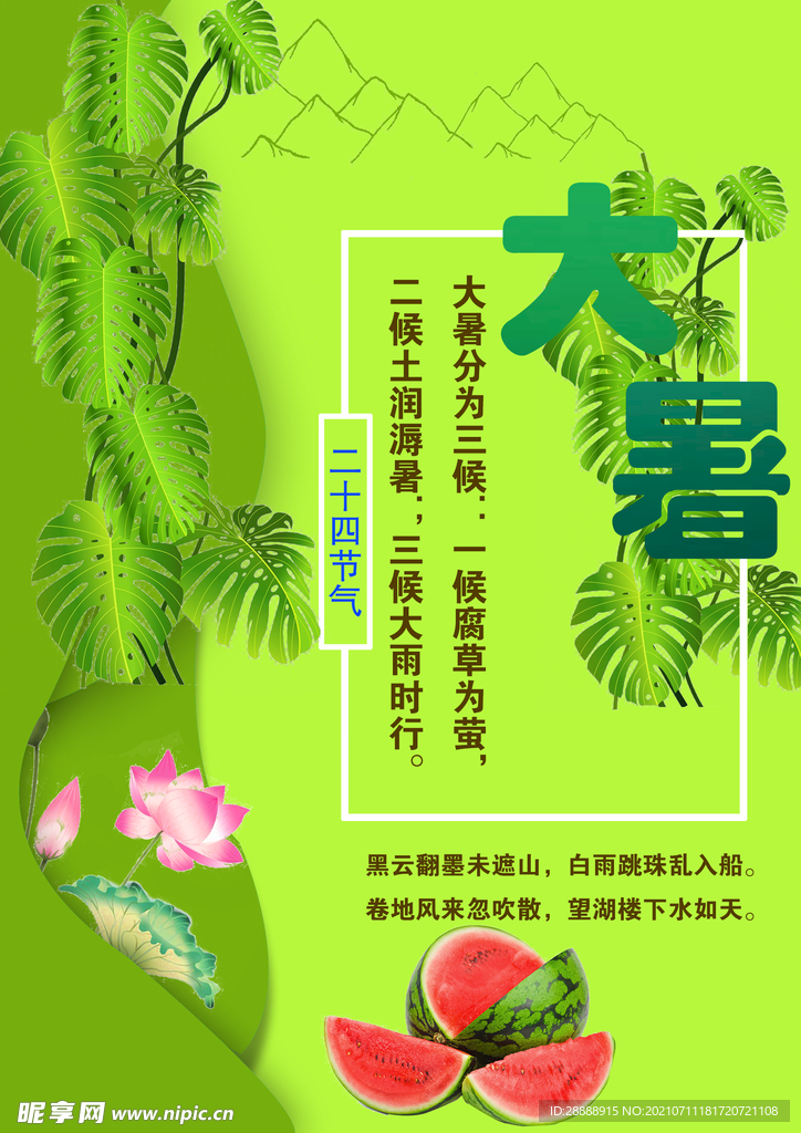 二十四节气 大暑 宣传单 海报
