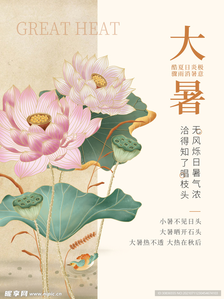 大暑海报 