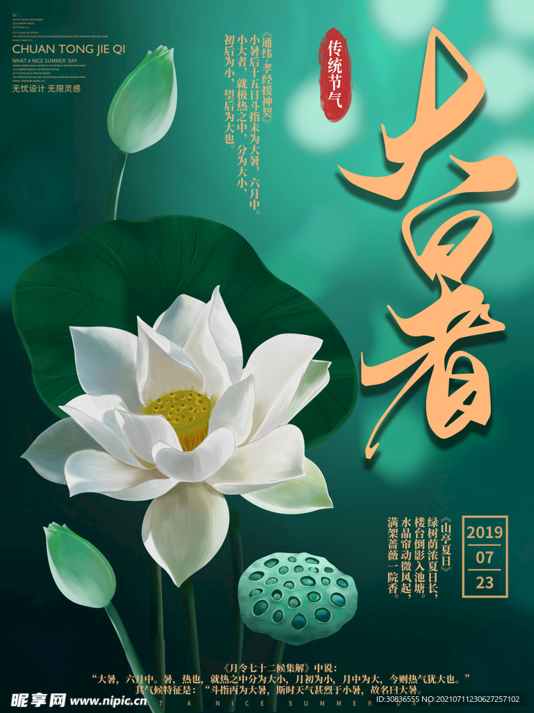 大暑海报 