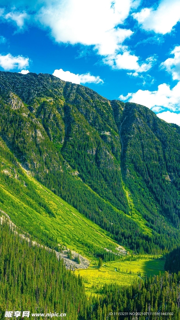 风景壁纸