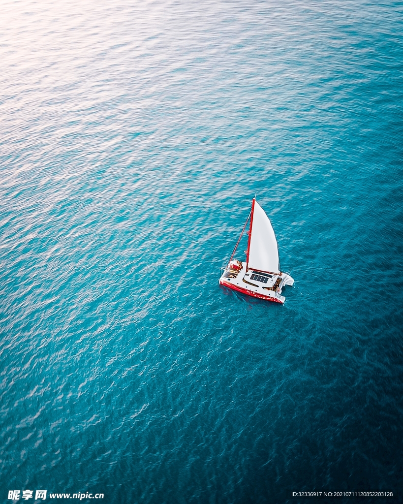 海洋
