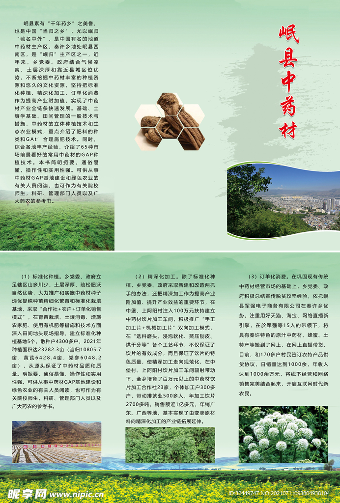 中药材三折页