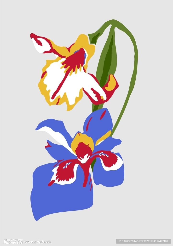 百合花