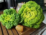 青菜