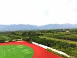 美丽的校园风景