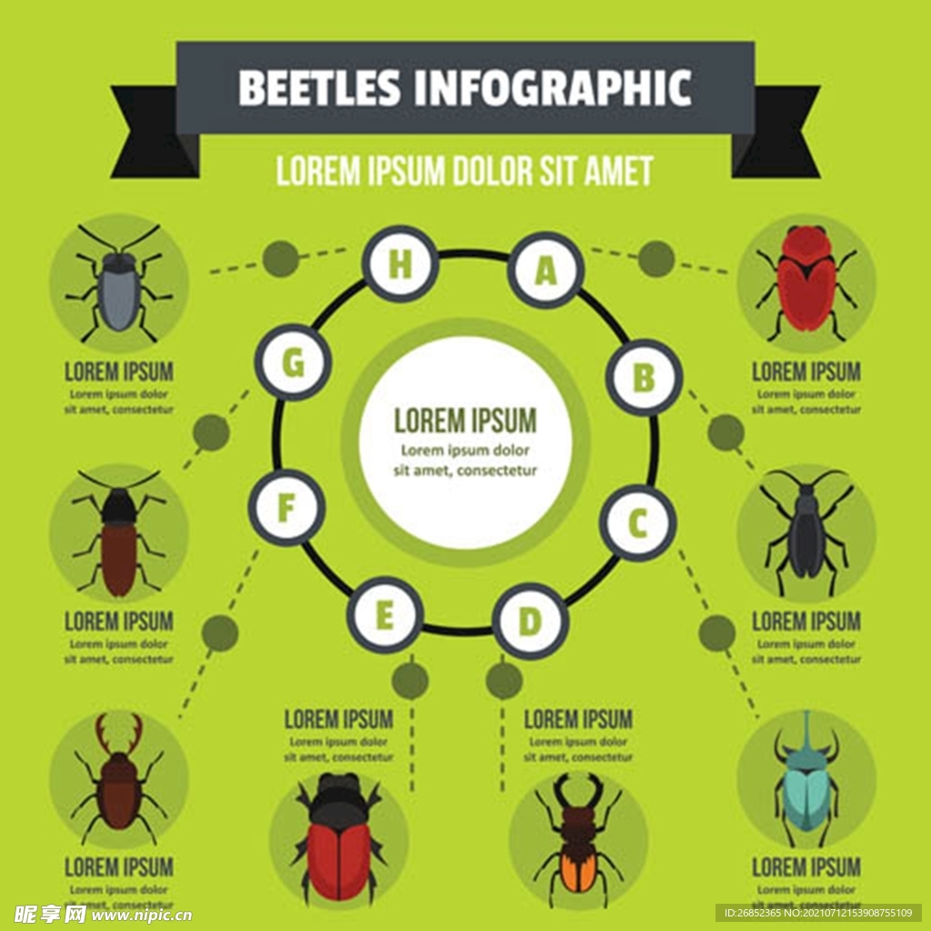 昆虫信息图表