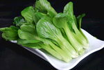 青菜白菜