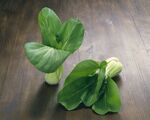 青菜白菜