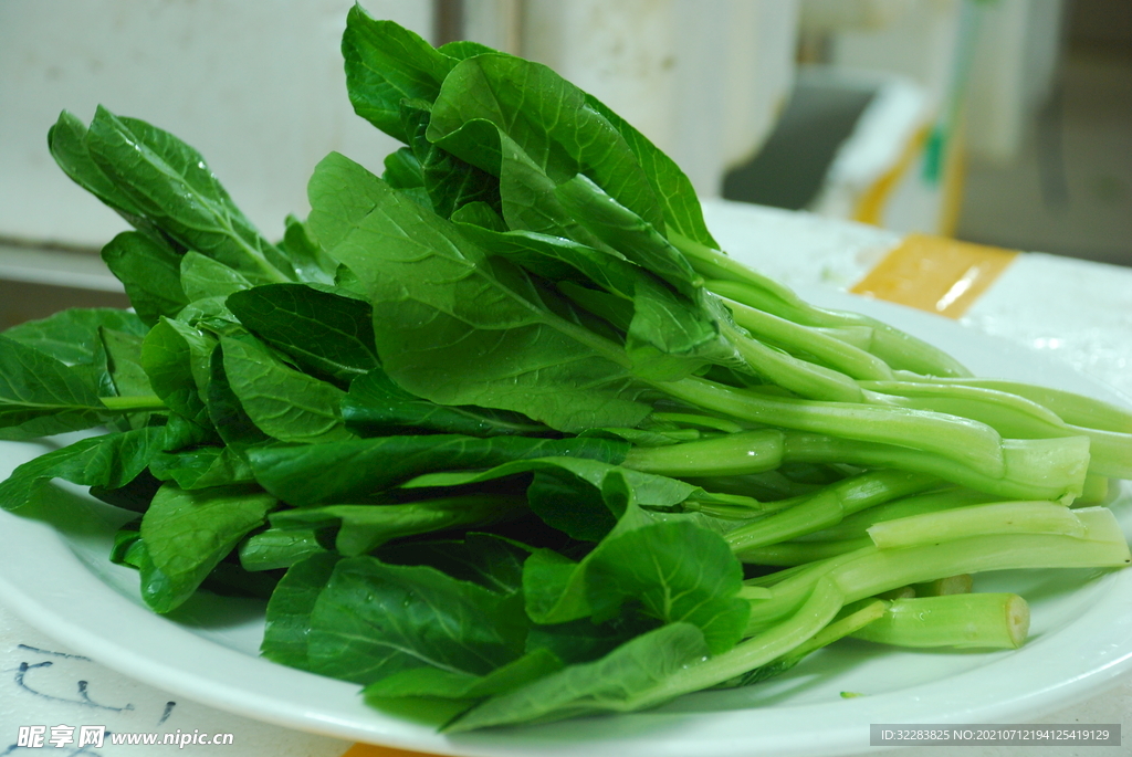 青菜白菜