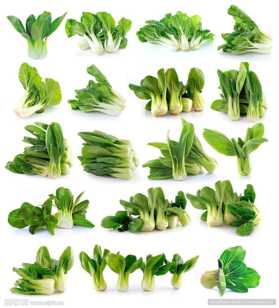 青菜白菜