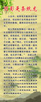阴影是条纸龙