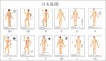 人体穴位经络