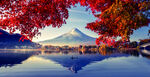 红枫叶雪山湖面上的倒影风景画
