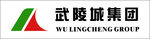 武陵城集团标志