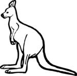 澳洲袋鼠卡通矢量