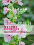 白云山面膜海报