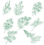 野草药