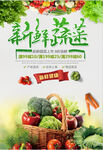 绿色新鲜蔬菜海报