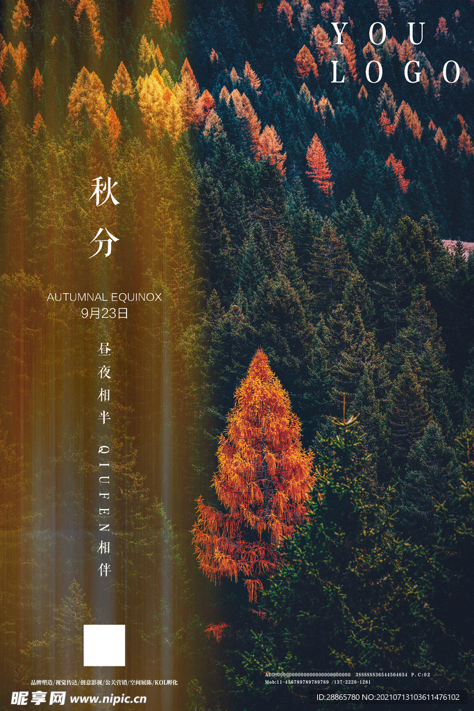 秋分海报