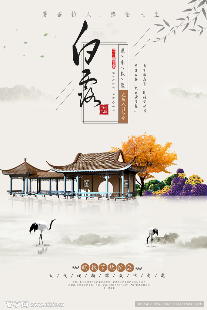 白露
