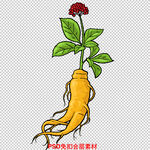 人参