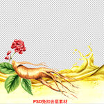 人参