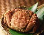 火锅配菜