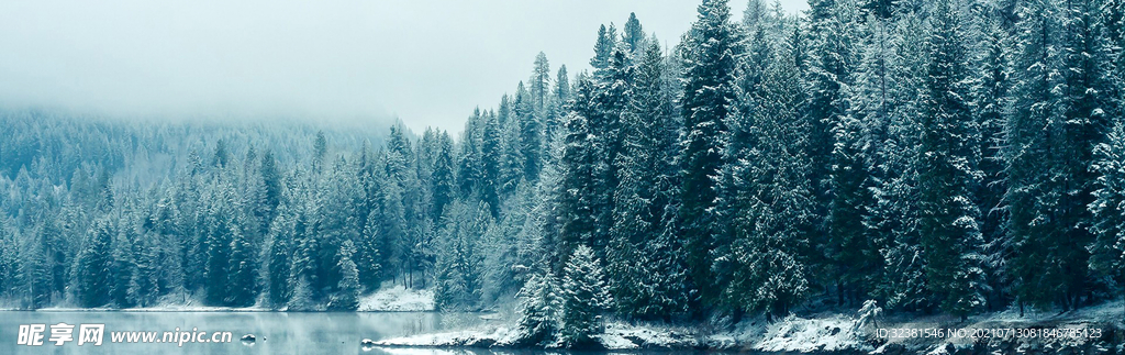 雪景 树林