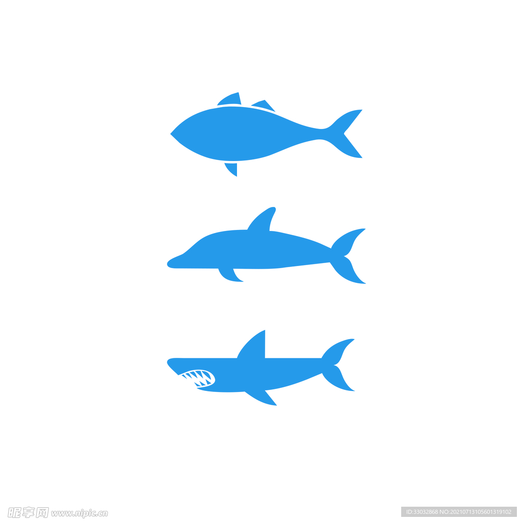 海洋生物 蓝色鱼 鲸鱼 鲨鱼 