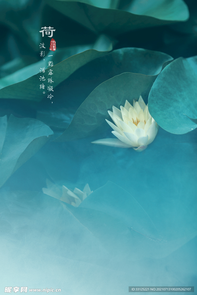 睡莲