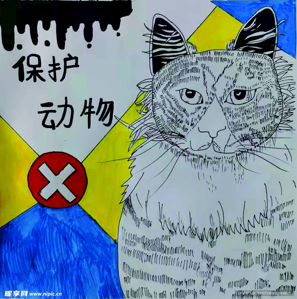 保护动物