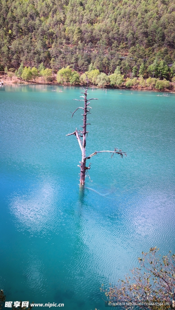 湖水