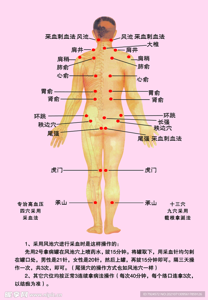 穴位图