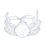 蟹