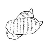 天麻