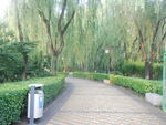 公园小路