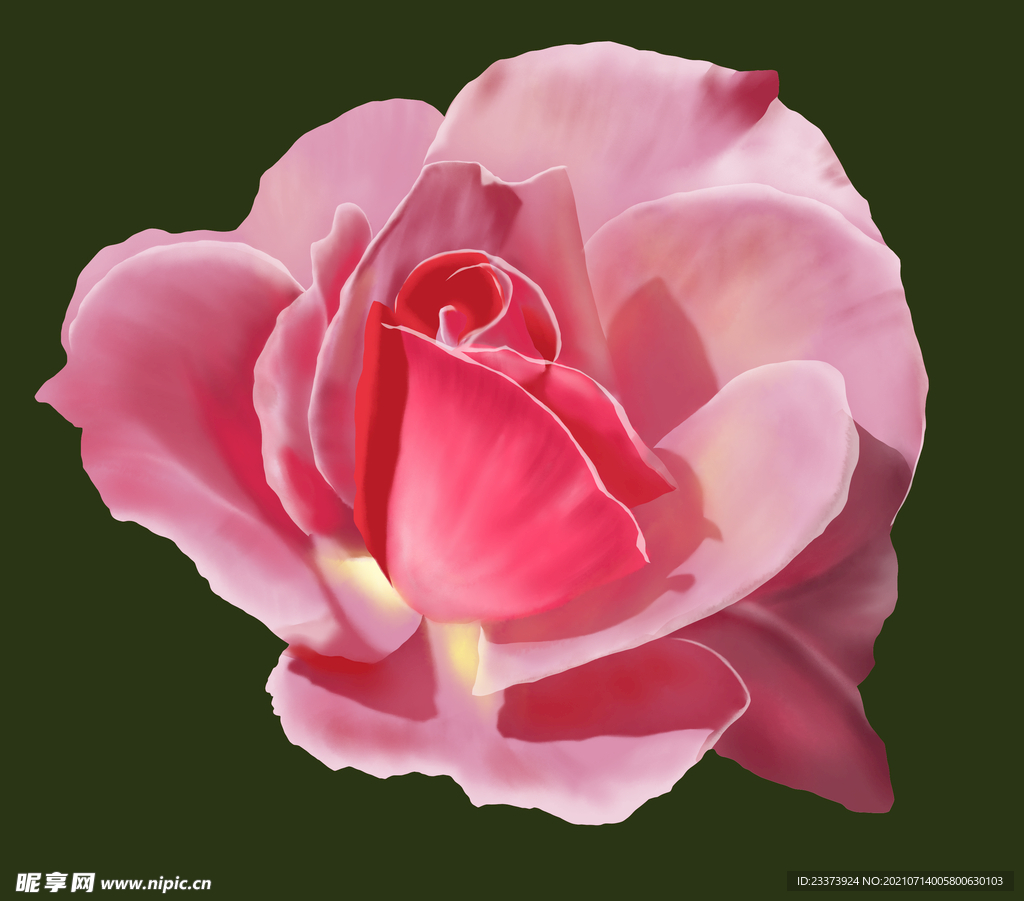 手绘花