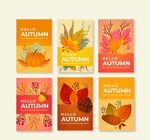 彩色秋季元素卡片