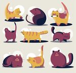 款卡通猫咪