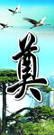 奠