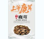 鹿茸 