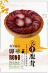 鹿茸 