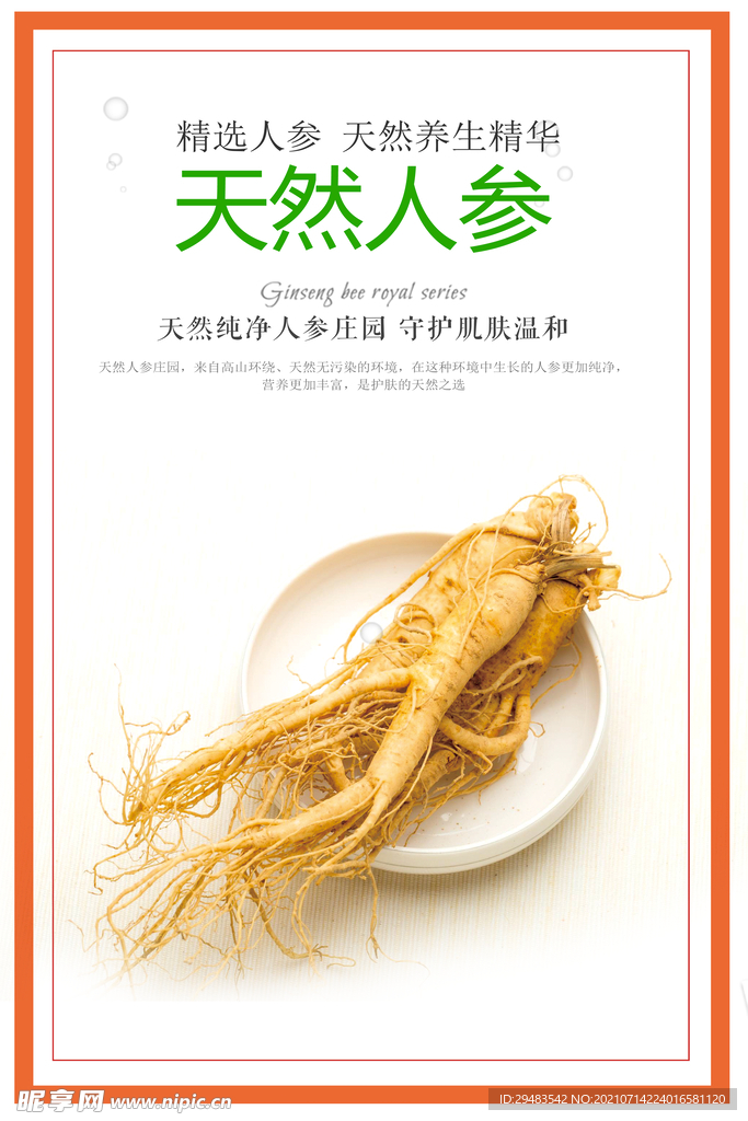 人参 